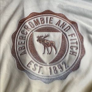 Abercrombie and Fitch Velour Hoodie in Eggshell